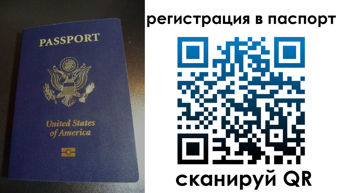 прописка для школы в Рошале